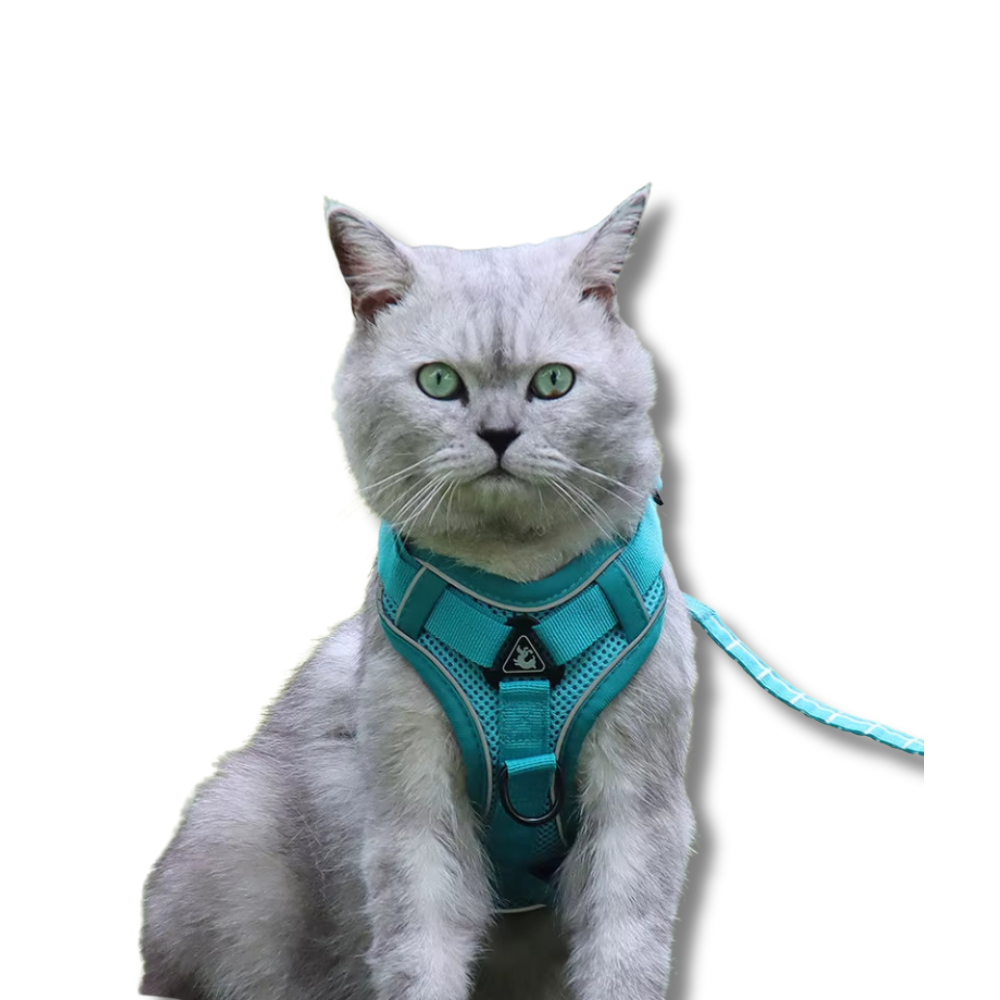 Cat Harness and Leash Set