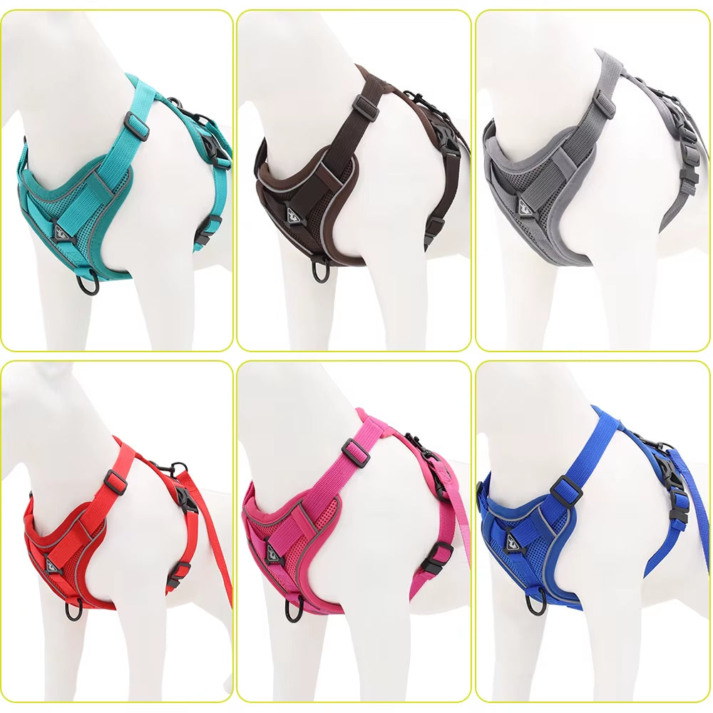 Cat Harness and Leash Set