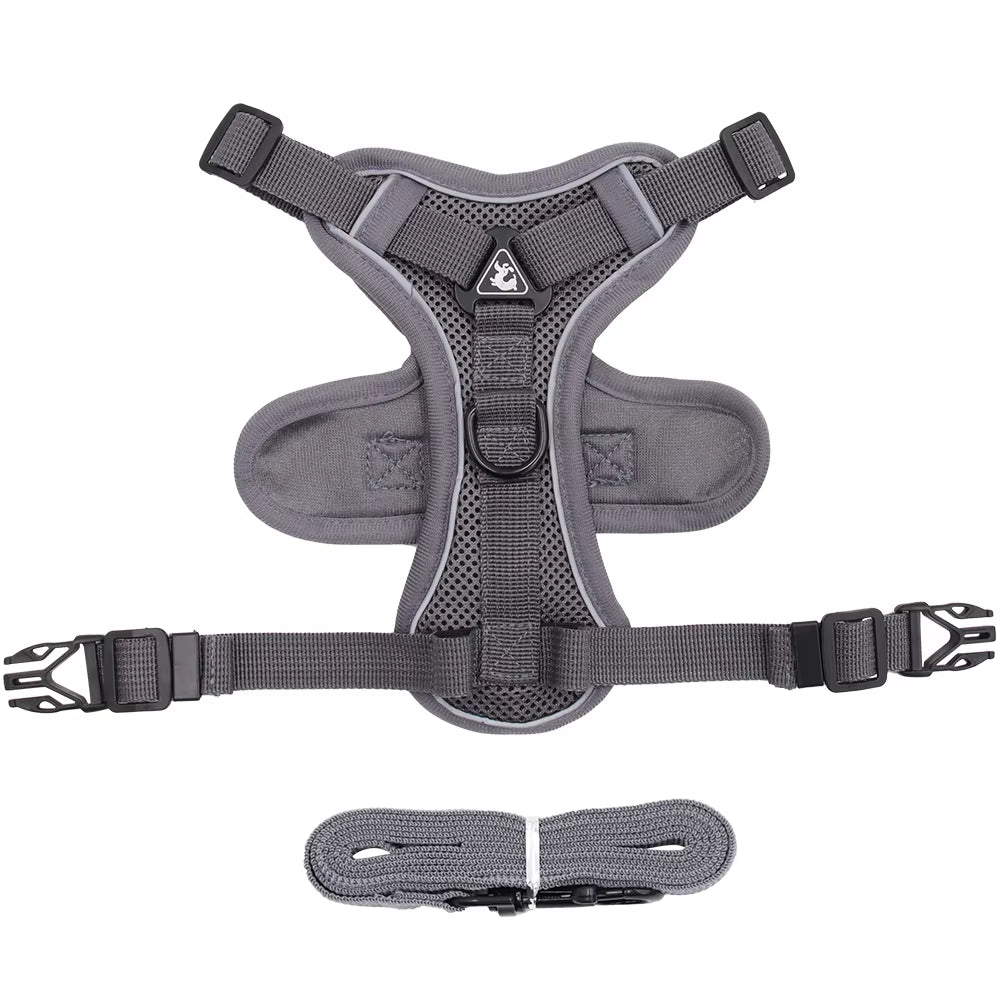 Cat Harness and Leash Set