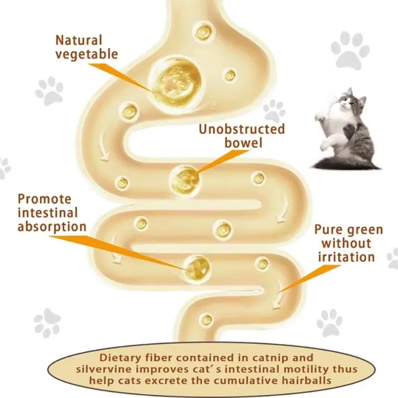Natural Catnip Wall Ball Toy