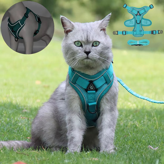 Cat Harness and Leash Set