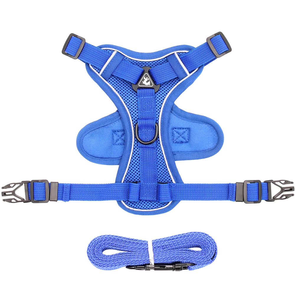 Cat Harness and Leash Set