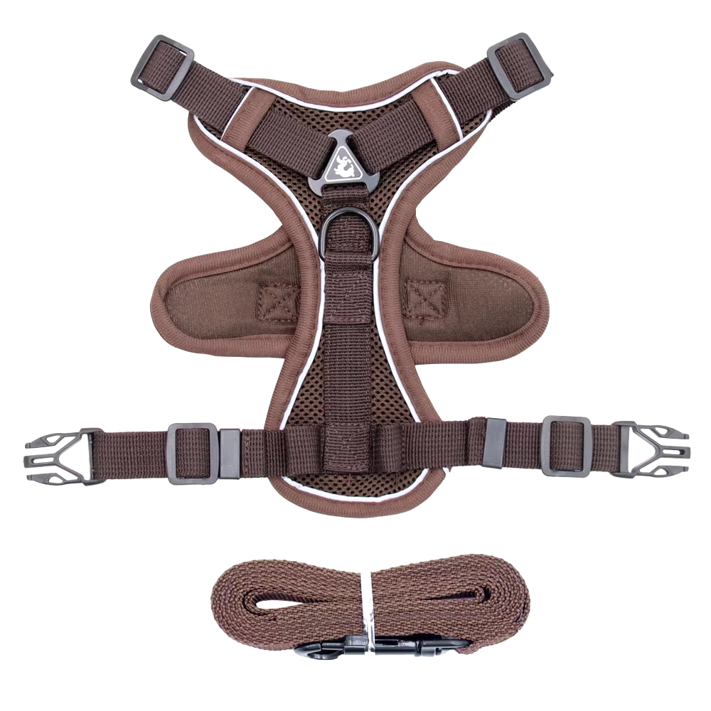 Cat Harness and Leash Set