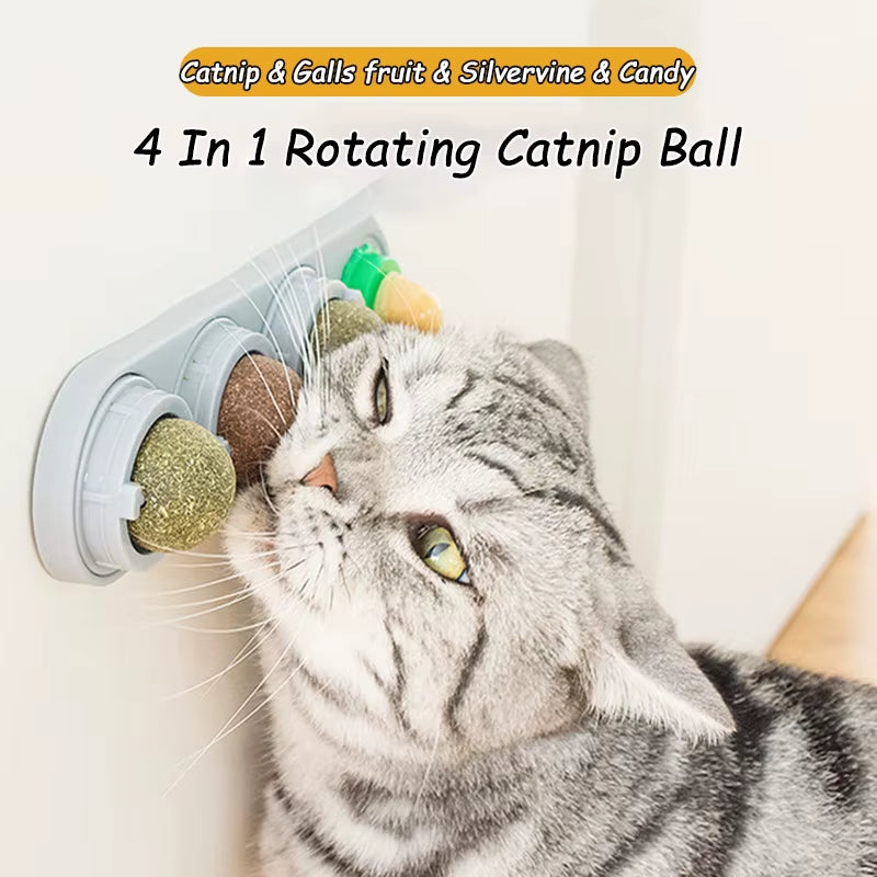 Natural Catnip Wall Ball Toy