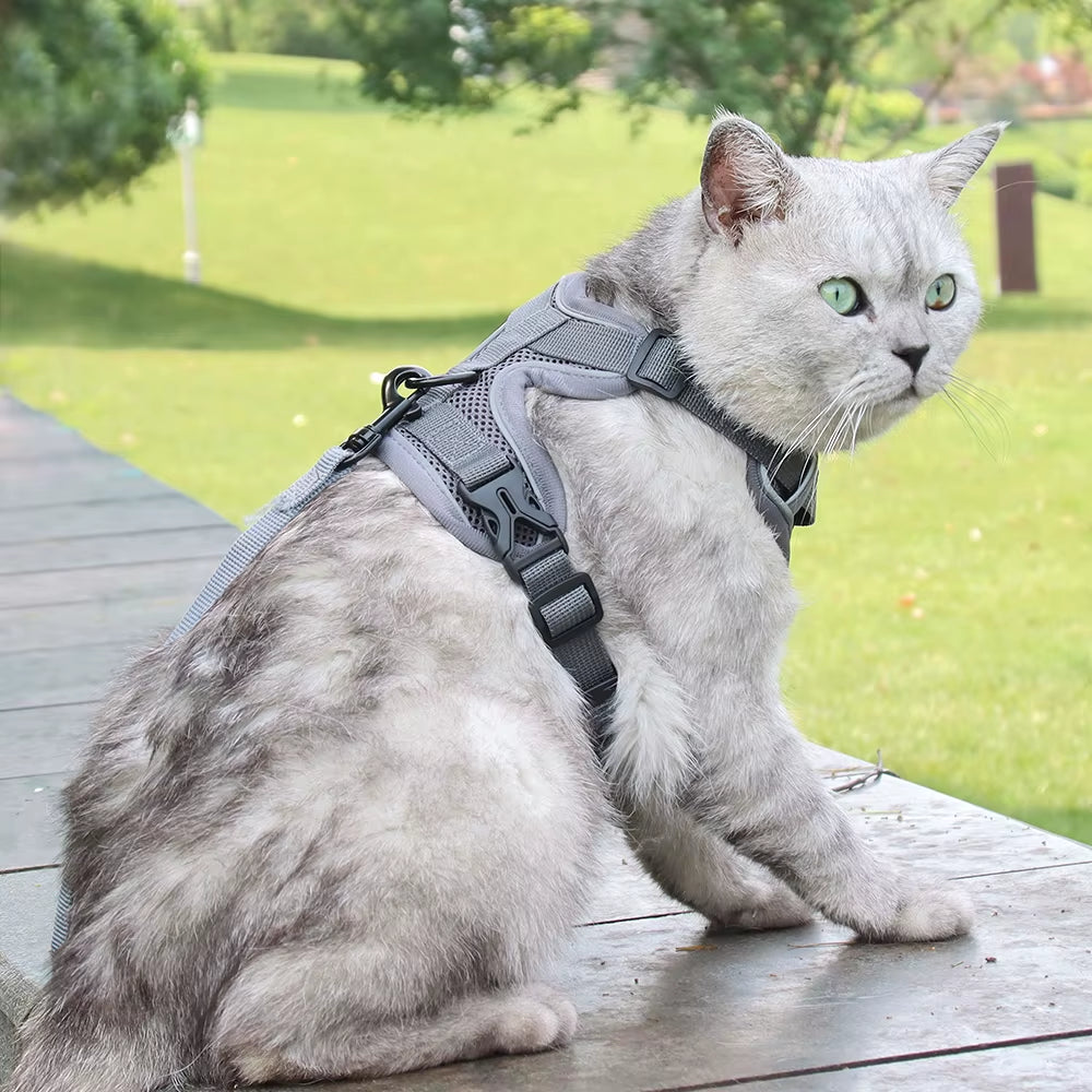 Cat Harness and Leash Set