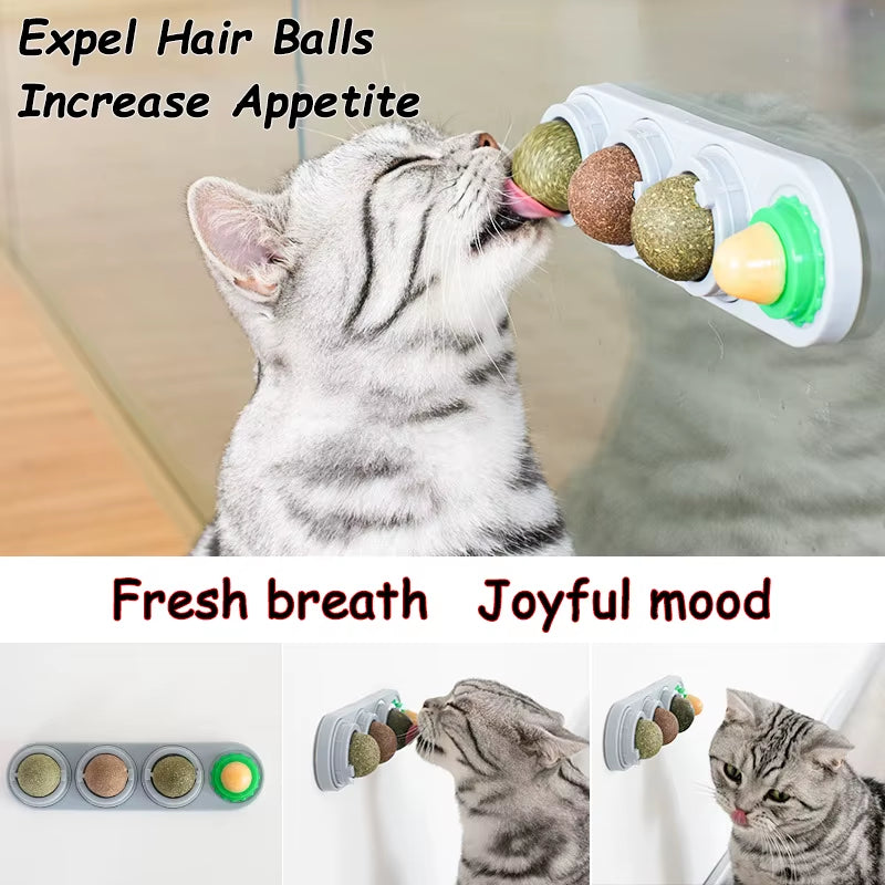 Natural Catnip Wall Ball Toy