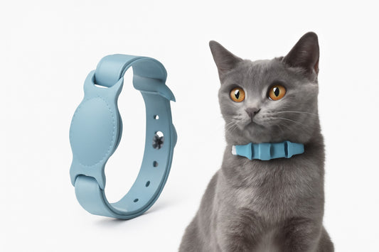 Leather Pet AirTag Collar
