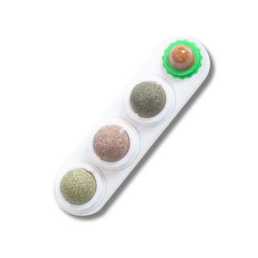 Natural Catnip Wall Ball Toy