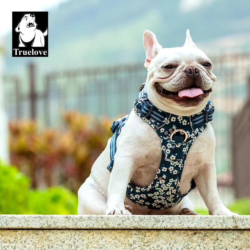 Floral No-Pull Dog Harness