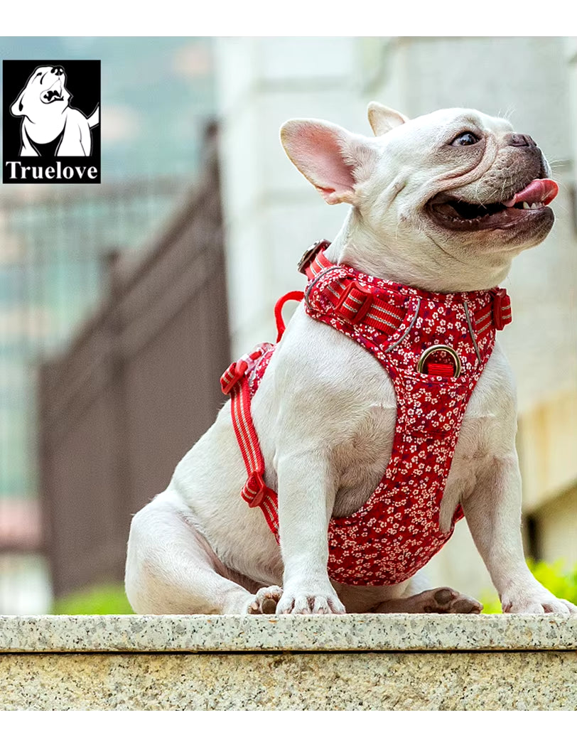 Floral No-Pull Dog Harness